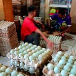 Membangun Hubungan Baik dengan Pelanggan: Kunci Sukses Distributor Telur Bebek di Lamongan