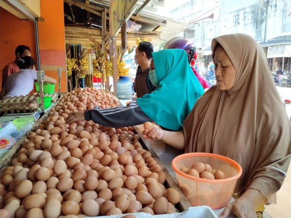 Mendapatkan Pelanggan Tetap untuk Telur Ayam di Lamongan: Strategi Sukses Berbisnis