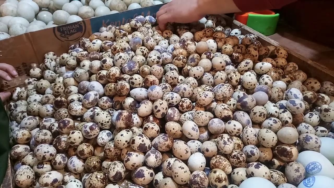 Membangun Kemitraan Strategis dengan Pabrik Telur Puyuh di Lamongan: Peluang dan Tantangan